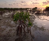 airboat in everglades private tours miami
